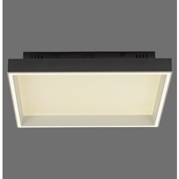 Paul Neuhaus Q-Serie Q-Magong ceiling light LED black, 1-light source, Remote control