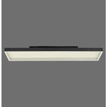 Paul Neuhaus Q-Serie Q-Magong ceiling light LED black, 1-light source, Remote control