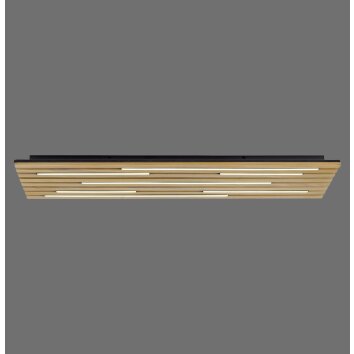 Paul Neuhaus Q-Serie Q-Akustik wall and ceiling light LED brown, black, 1-light source, Remote control