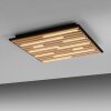 Paul Neuhaus Q-Serie Q-Akustik wall and ceiling light LED brown, black, 1-light source, Remote control