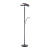 Paul Neuhaus lights Artur floor lamp LED anthracite, 2-light sources