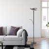 Paul Neuhaus lights Artur floor lamp LED anthracite, 2-light sources