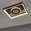 Paul Neuhaus lights Traforo ceiling light LED black, 1-light source, Remote control