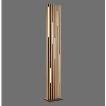 Paul Neuhaus Q-Serie Q-Akustik floor lamp LED brown, black, 1-light source, Remote control