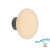Paul Neuhaus lights Olaf wall and ceiling light LED grey, 1-light source