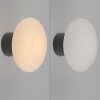 Paul Neuhaus lights Olaf wall and ceiling light LED grey, 1-light source
