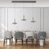 Paul Neuhaus lights Vitrum pendant light LED grey, 6-light sources