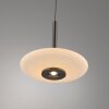 Paul Neuhaus lights Vitrum pendant light LED brown, 6-light sources