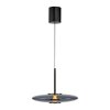 Paul Neuhaus lights E-Vitrum pendant light LED grey, 2-light sources, Remote control