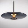 Paul Neuhaus lights E-Vitrum pendant light LED grey, 2-light sources, Remote control