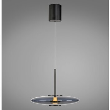 Paul Neuhaus lights E-Vitrum pendant light LED grey, 2-light sources, Remote control