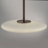 Paul Neuhaus lights E-Vitrum pendant light LED brown, 2-light sources, Remote control