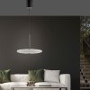 Paul Neuhaus lights E-Vitrum pendant light LED brown, 2-light sources, Remote control
