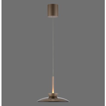 Paul Neuhaus lights Moon pendant light LED bronze, 2-light sources