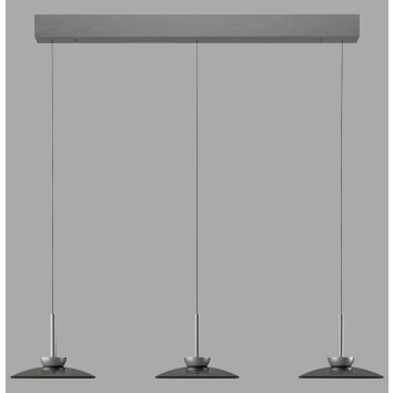 Paul Neuhaus lights Moon pendant light LED grey, 6-light sources