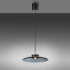 Paul Neuhaus lights E-Moon pendant light LED grey, 2-light sources, Remote control