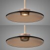 Paul Neuhaus lights E-Moon pendant light LED bronze, 2-light sources, Remote control