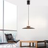 Paul Neuhaus lights E-Moon pendant light LED bronze, 2-light sources, Remote control