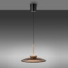 Paul Neuhaus lights E-Moon pendant light LED bronze, 2-light sources, Remote control