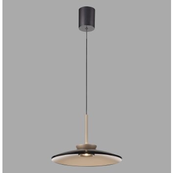 Paul Neuhaus lights E-Moon pendant light LED bronze, 2-light sources, Remote control