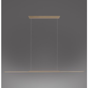 Paul Neuhaus lights Surface pendant light LED bronze, 1-light source