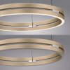 Paul Neuhaus lights E-Loop pendant light LED brass, 2-light sources, Remote control