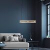 Paul Neuhaus lights E-Loop pendant light LED brass, 2-light sources, Remote control