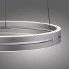 Paul Neuhaus lights E-Loop pendant light LED silver, 2-light sources, Remote control