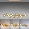 Paul Neuhaus lights E-Popup pendant light LED bronze, 18-light sources, Remote control