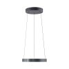 Paul Neuhaus lights E-Clipse pendant light LED grey, 2-light sources, Remote control