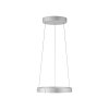 Paul Neuhaus lights E-Clipse pendant light LED silver, 2-light sources, Remote control