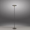 Paul Neuhaus lights Vitrum floor lamp LED grey, 2-light sources