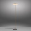 Paul Neuhaus lights Vitrum floor lamp LED brown, 2-light sources