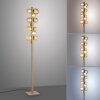 Paul Neuhaus lights Popup floor lamp LED bronze, 12-light sources