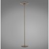 Paul Neuhaus lights Moon floor lamp LED bronze, 2-light sources