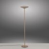 Paul Neuhaus lights Moon floor lamp LED bronze, 2-light sources