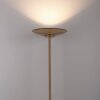Paul Neuhaus lights Moon floor lamp LED bronze, 2-light sources