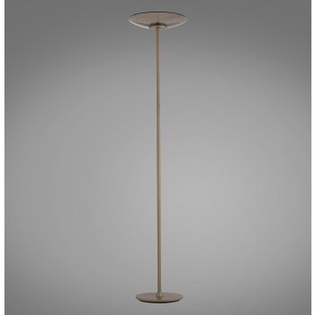 Paul Neuhaus lights Moon floor lamp LED bronze, 2-light sources
