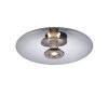 Paul Neuhaus lights Vitrum ceiling light LED grey, 2-light sources