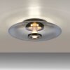 Paul Neuhaus lights Vitrum ceiling light LED grey, 2-light sources