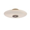 Paul Neuhaus lights Vitrum ceiling light LED brown, 2-light sources
