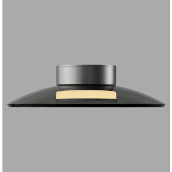 Paul Neuhaus lights Moon ceiling light LED grey, 2-light sources