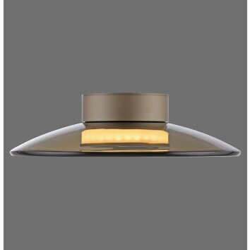 Paul Neuhaus lights Moon ceiling light LED bronze, 2-light sources