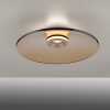 Paul Neuhaus lights Moon ceiling light LED bronze, 2-light sources