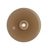 Paul Neuhaus lights Moon ceiling light LED bronze, 2-light sources