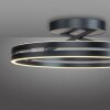 Paul Neuhaus lights Loop ceiling light LED grey, 2-light sources, Remote control