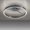 Paul Neuhaus lights Loop ceiling light LED grey, 2-light sources, Remote control