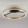 Paul Neuhaus lights Loop ceiling light LED gold, black, 2-light sources, Remote control