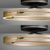 Paul Neuhaus lights Loop ceiling light LED gold, black, 2-light sources, Remote control