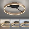 Paul Neuhaus lights Loop ceiling light LED gold, black, 2-light sources, Remote control